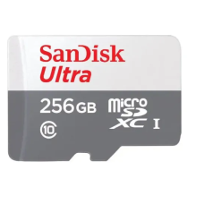SanDisk Ultra 256GB Class-10 100mbps Micro SDXC UHS-I Memory Card (SDSQUNR-256G-GN3MN)